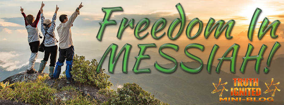 FreedomInMessiahWordPress